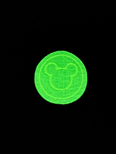 Embroidered Glow in Dark Fastpass Hat